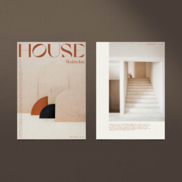 Basis Studio