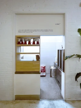 Basis Studio