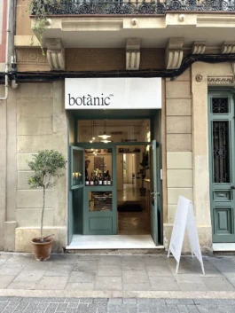Basis Studio