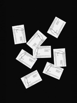 Basis Studio