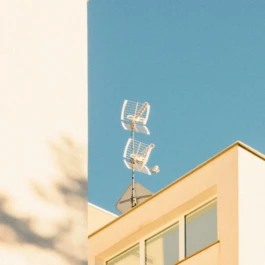 Basis Studio