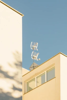 Basis Studio